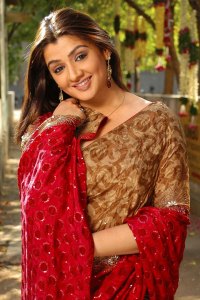 aarthi agarwal most saree transparent aarthi agarwal saree best clips aarthi agarwal spicy saree movie clips